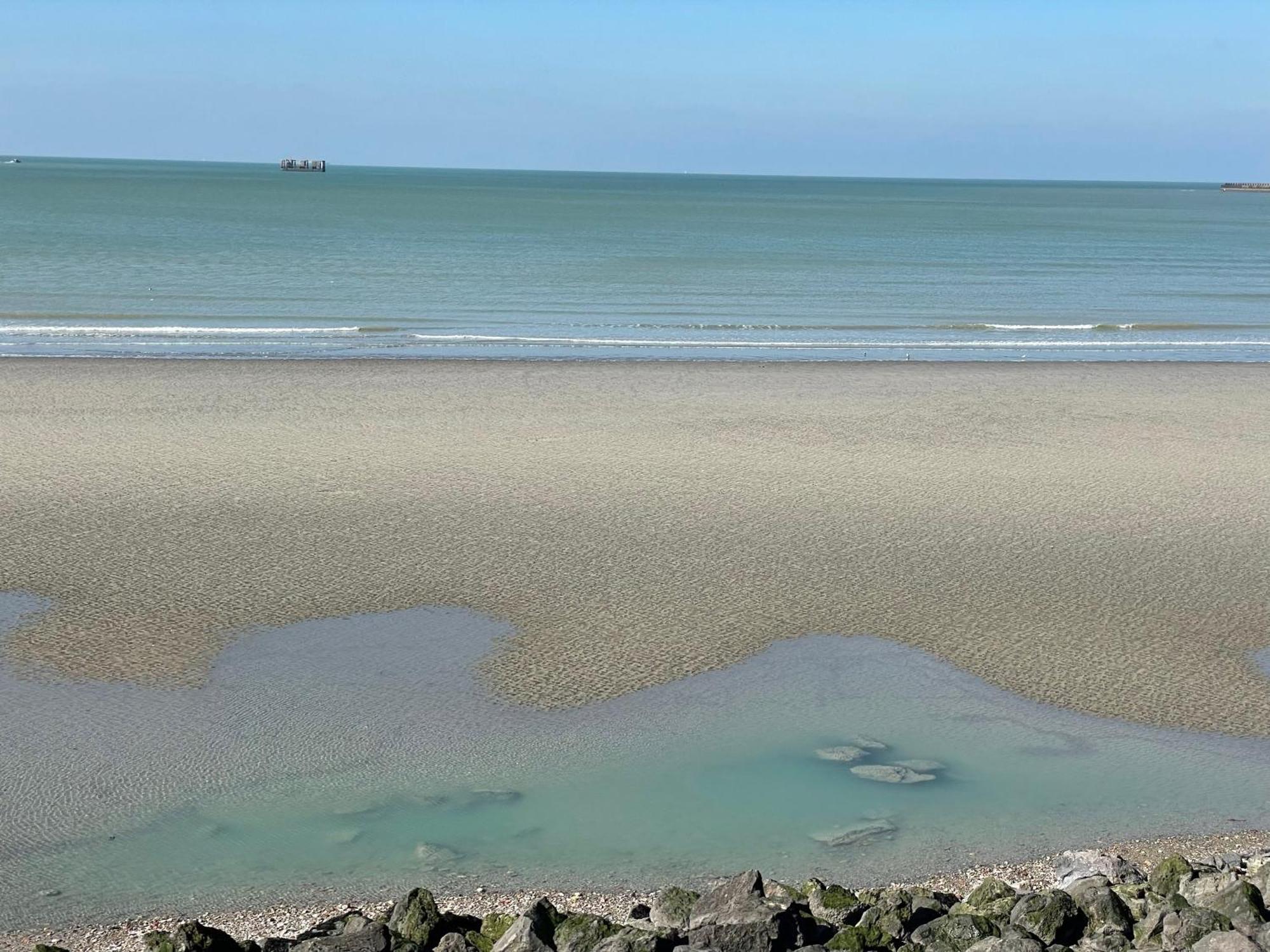 Villa Face Mer Aux Magnifiques Couchers De Soleil 5 Mn De Nausicaa Boulogne-sur-Mer Kültér fotó